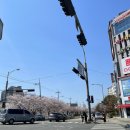 가리내로 이미지