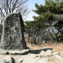 노승산목장 네이버블로그