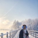 탄금호의 아침 이미지