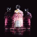 뮤게(muguet) 이미지