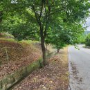 정안면사무소2 이미지