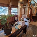 너구리의 피난처 이미지