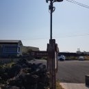 월령바람 티스토리
