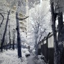 동화울 수변공원 이미지