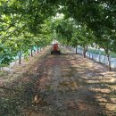 윤자농장 이미지