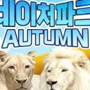 린네이처