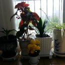 천상스크린골프 이미지