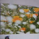 하남사진작가협회 회원전 이미지