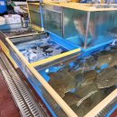 주희네수산 이미지