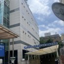 역삼푸른솔도서관 | 아담하고 쾌적한 구립역삼푸른솔도서관 이용시간/공부시설/열람실/주차장