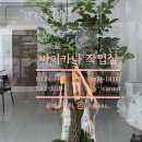 바이카나 작업실