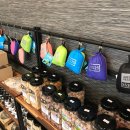 도그비잉펫케어 이미지