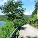 횡성 읍사무소 이미지