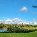 라운드3 | 제주 라온CC 예약 3인 라운드 후기