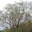 덕림서원 이미지