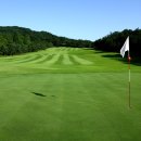 골프존 나이스 스크린 골프 연습장 이미지