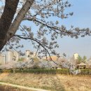 덕양목장2 이미지