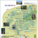 산림욕장 이미지