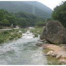 거북가든 이미지