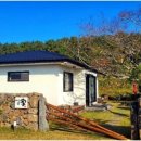 제주살가 이미지