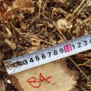 은평-084 이미지