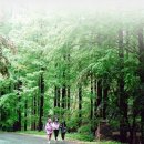 황실목욕장 이미지