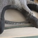 진주4단지아파트경로당 | [진주 샷시 모헤어] 평거엘크루 10년 차 아파트, 샷시 모헤어 &amp; 미세방충망으로 벚꽃 뷰 완성