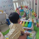 제일체육관 | 피셔프라이스 아기체육관 대여 사용시기 실사용 후기