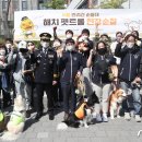 산책하는 강아지 이미지