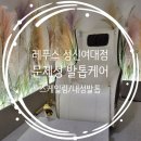 성신상사 | [레푸스 성신여대] 문제성 발톱 스케일링 내성발톱교정 후기