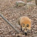 도로변(구로동 3-64) | 청주 아이와 가볼만한곳 청주동물원후기 ,주차 꿀팁