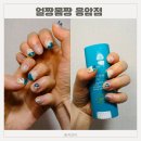손짱얼짱