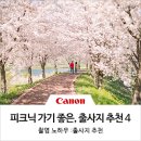 주식회사 미루나무 - 영천시 | [봄 출사지 추천] 사진 찍기 좋은, 피크닉 가볼만한 4곳