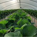 동빈농장 이미지