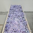 주안영안실 이미지