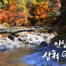 덕풍계곡솔밭야영장 이미지