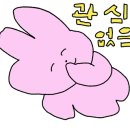 누나인력 이미지