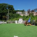 아임버디 이미지