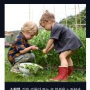 행복한 삶을 지속하기 위한 10가지 요소 | 소확행: 일상 속 작은 행복을 발견하는 마음챙김 실천법