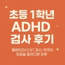 꿈꾸는 책가방 1학기(초1) | <초등 1학년 아이 풀배터리검사, CAT 검사 후기>