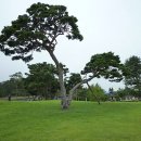예산-09 이미지