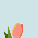 젠탱글, 힐링과 예술의 세계(작품반) | 오일 파스텔로 그린 나만의 작품 [강남 미술학원 원데이 클래스 후기]