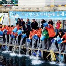 바다올레 이미지