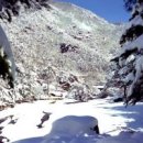 농소중학교 이미지