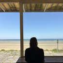 포리뉴 | (태안)오션뷰 카페 추천, 포리뉴 카페 다녀 온 후기 🌴