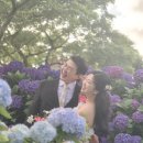 영화와 함께하는 인문학(B반) | 제주웨딩스냅 바이헌포토그라피 여름 야외촬영 장소 후기