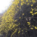 이수축산농장 이미지