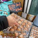 한들마트 | 천안 업투마켙 백석점 계란 진짜 싸다!세일정보,공동구매 후기