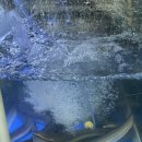 명품장어구이 | [안양/비산동] 안양 범계역장어 맛집 추천｜" 명품숯불민물장어 " 소금구이 2인분 솔직후기