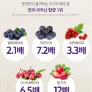 자연가득건강즙